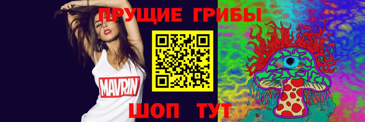 Галлюциногенные грибы Psilocybine cubensis Сосновый Бор