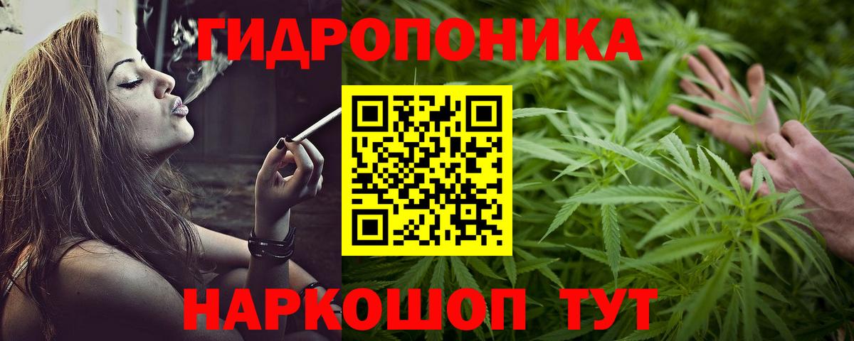 Канабис OG Kush Сосновый Бор
